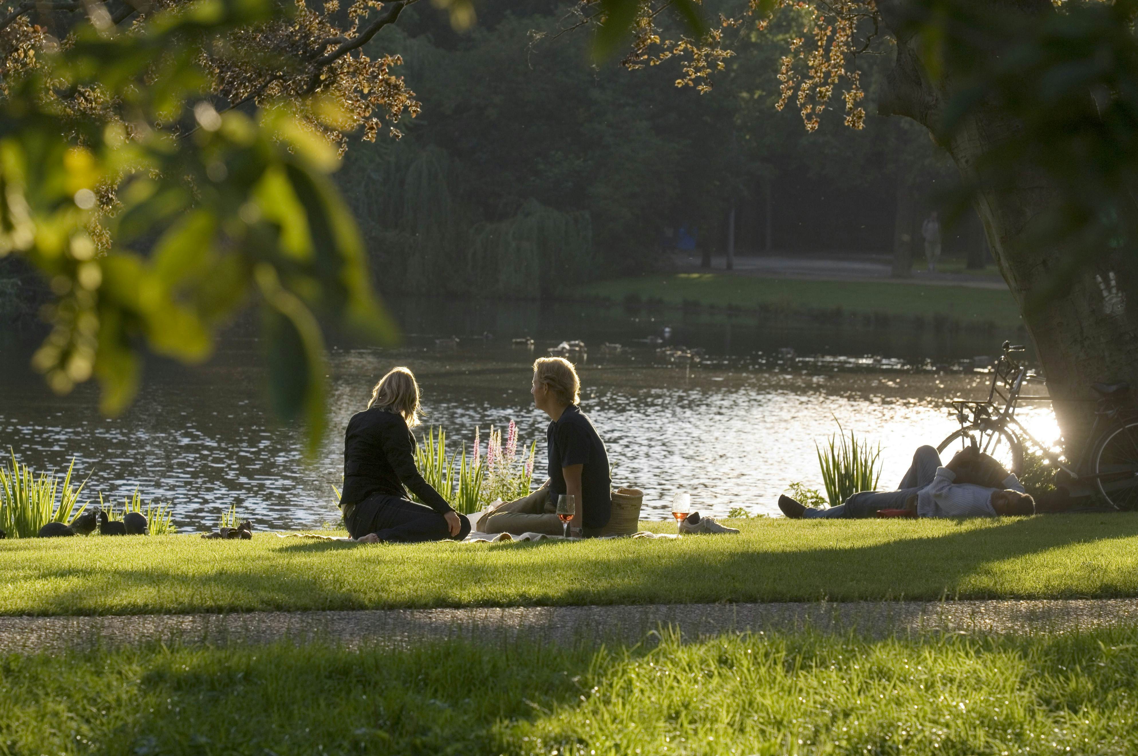 Picnic in Vondelpark in afternoon light.