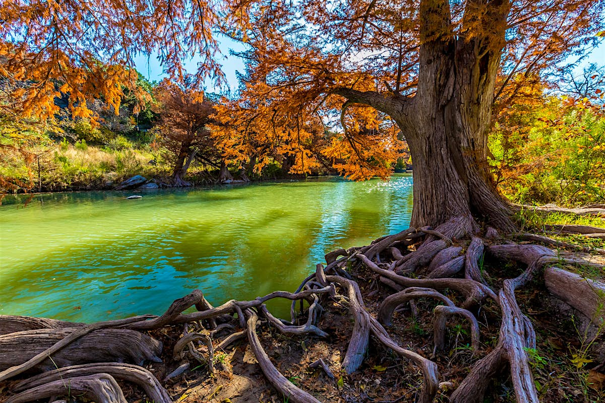 Guadalupe River State Park | USA Attractions - Lonely Planet