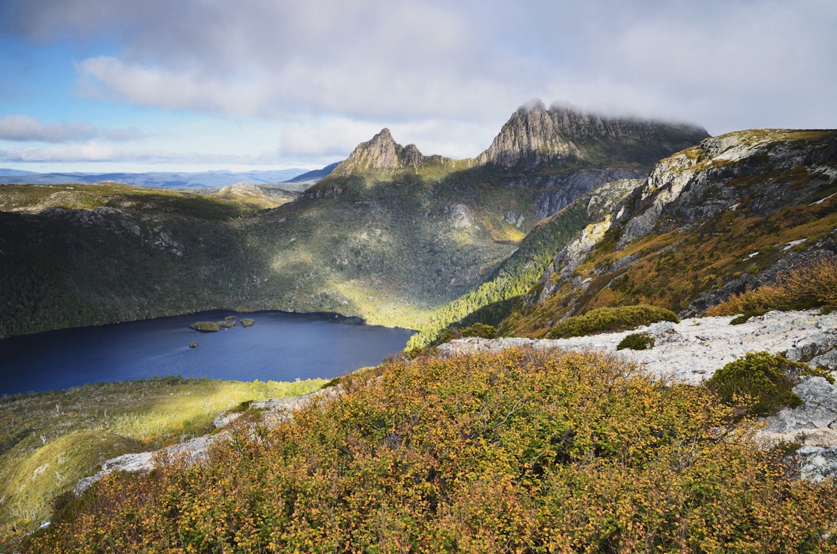 Cradle Mountain and Dove Lake, with deciduous beech (Fagus) in fall colors, Cradle Mountain-Lake St. Clair National Park, UNESCO World Heritage Site, Tasmania, Australia, Pacific