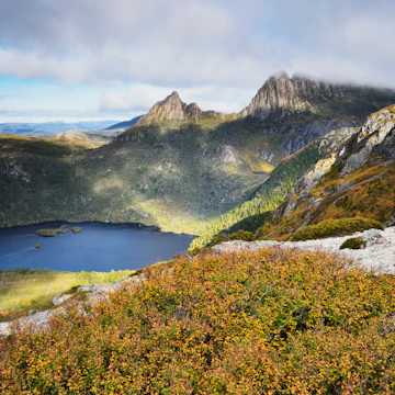 Cradle Mountain and Dove Lake, with deciduous beech (Fagus) in fall colors, Cradle Mountain-Lake St. Clair National Park, UNESCO World Heritage Site, Tasmania, Australia, Pacific