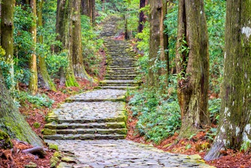 The Kumano Kodo trail, a sacred trail in Nachi, Wakayama, Japan.; Shutterstock ID 693876502; Your name (First / Last): Laura Crawford; GL account no.: 65050; Netsuite department name: Online Editorial; Full Product or Project name including edition: Kii Peninsula page online images for BiT