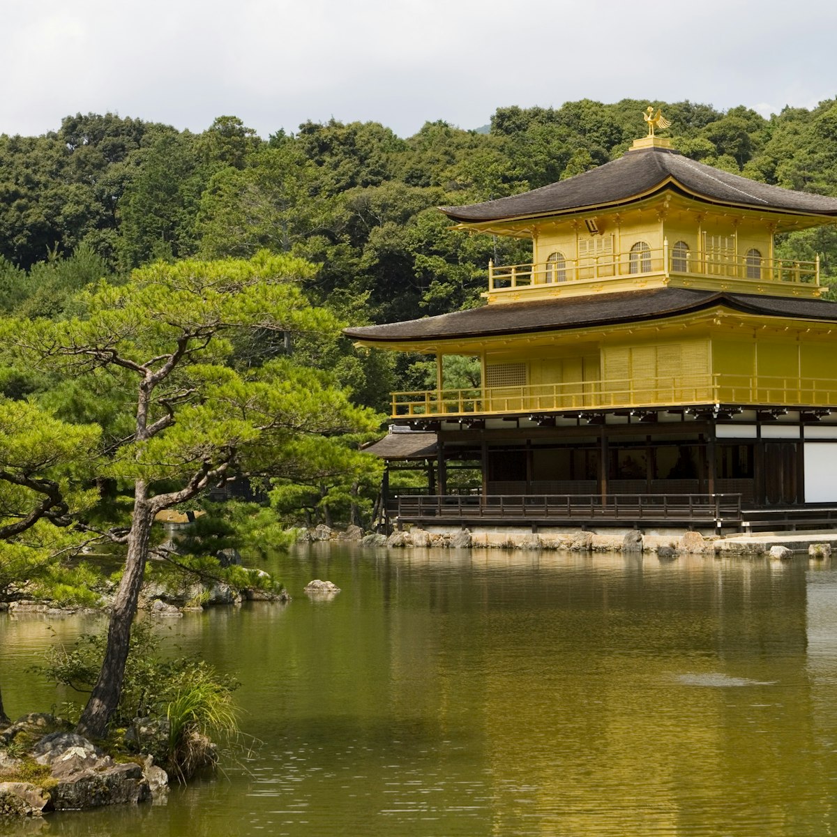 Kinka-kuji (Golden Pavillion).