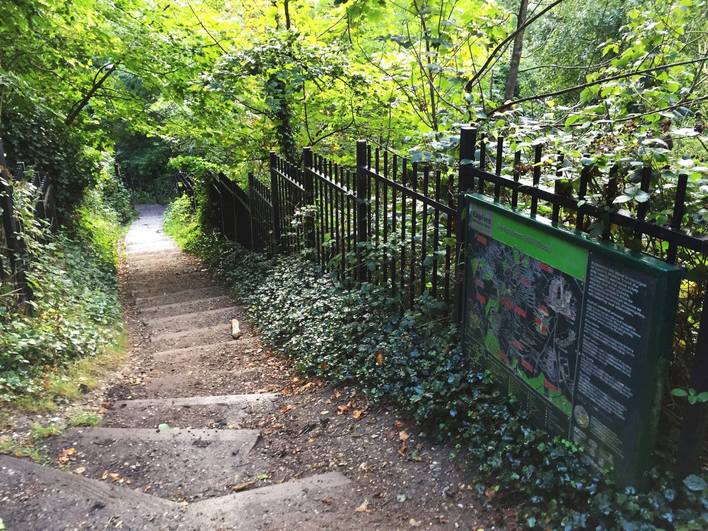A walking trail in Sydenham Hill Wood