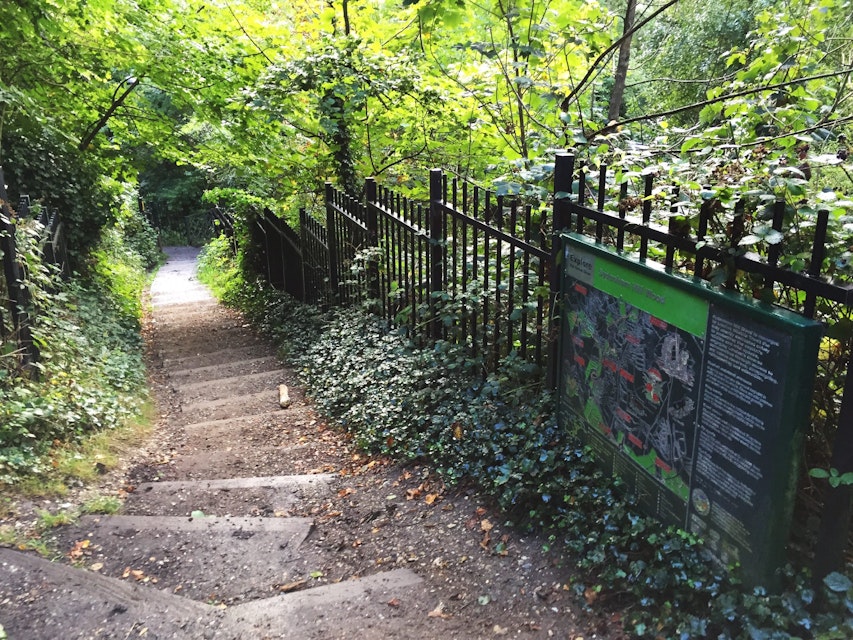 A walking trail in Sydenham Hill Wood