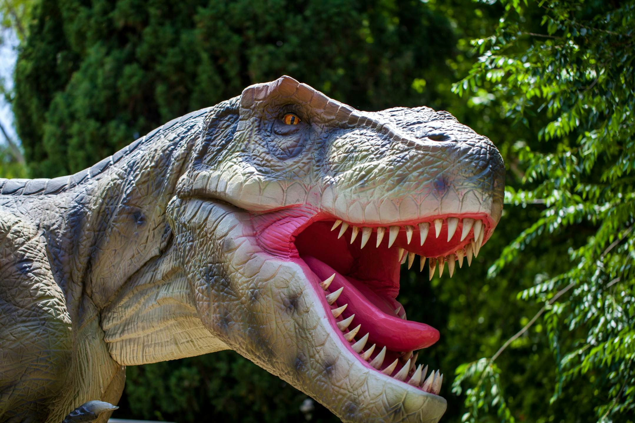 Musee Parc Des Dinosaures Et De La Prehistoire Bouzigues France Attractions Lonely Planet