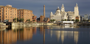 Item photo for undefined