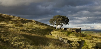 Item photo for undefined