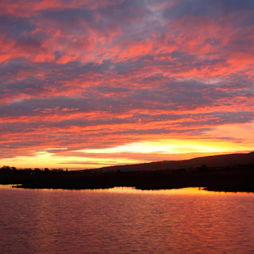 Sunrise over Tralee wetlands.