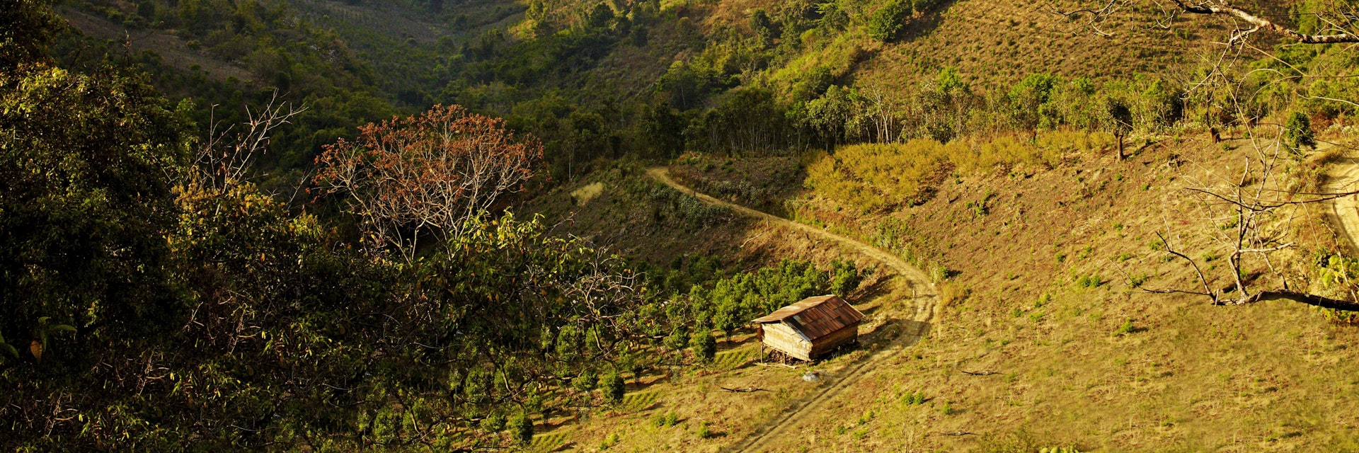 Overview of fruit plantations in the hills above Kalaw.