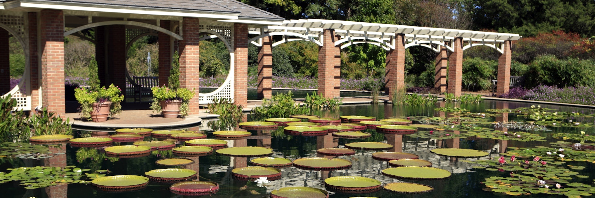 Water Garden at the Huntsville Alabama Botanical Gardens