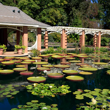 Water Garden at the Huntsville Alabama Botanical Gardens
