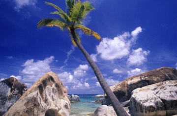 Palm tree and rocks at The Baths beach.