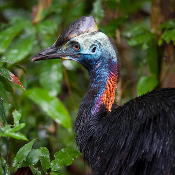 500px Photo ID: 79113819 -