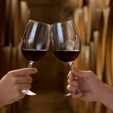 "Two hands holding wineglasses wi red wine make a toast in a cellar in front of a row of oak barrels,See also:"
