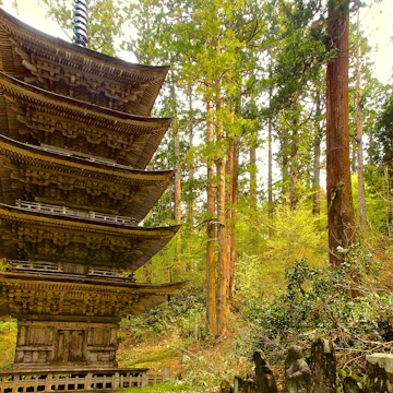 500px Photo ID: 51173684 -