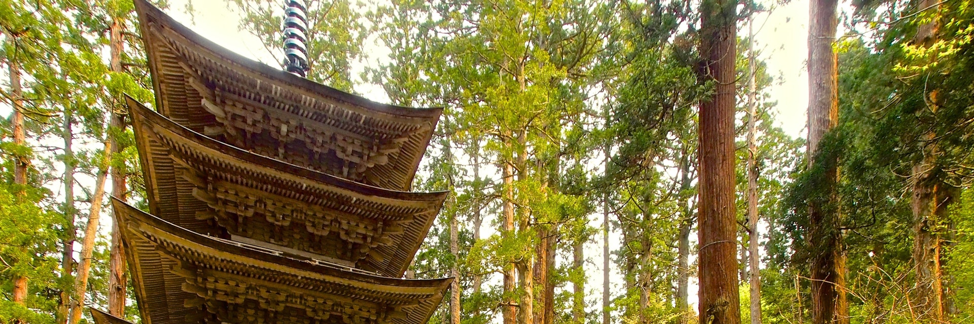 500px Photo ID: 51173684 -