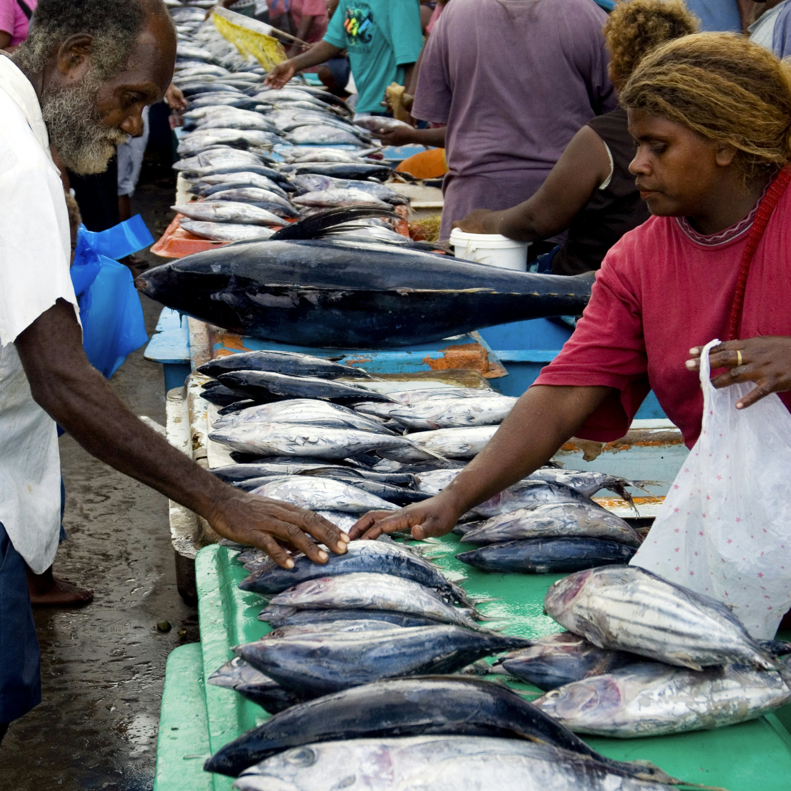 Fish for sale at central market.