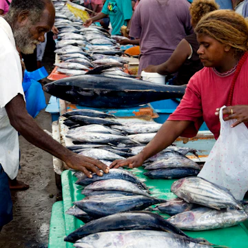 Fish for sale at central market.