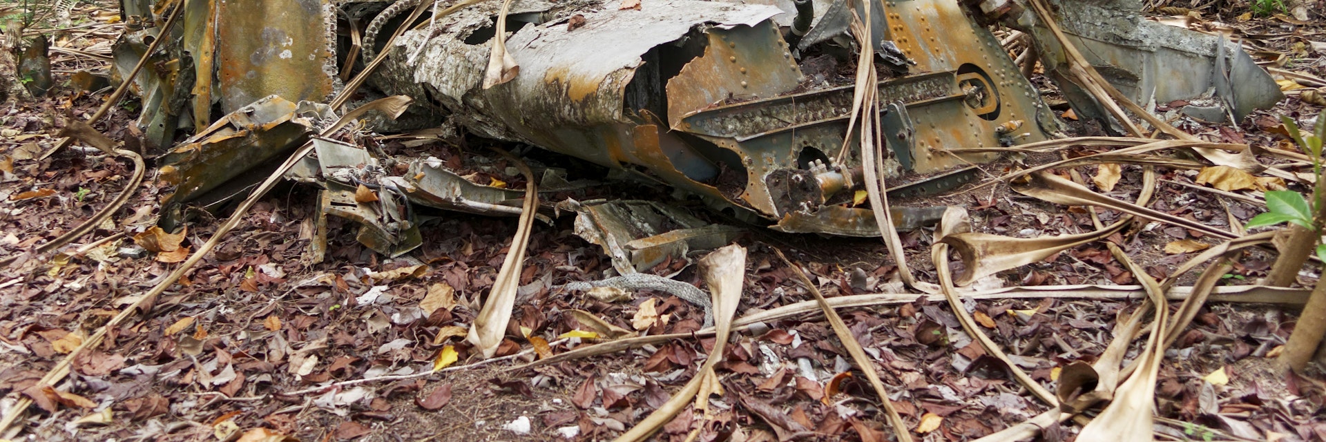 Airplane Graveyard, Peleliu Island, Babeldaob