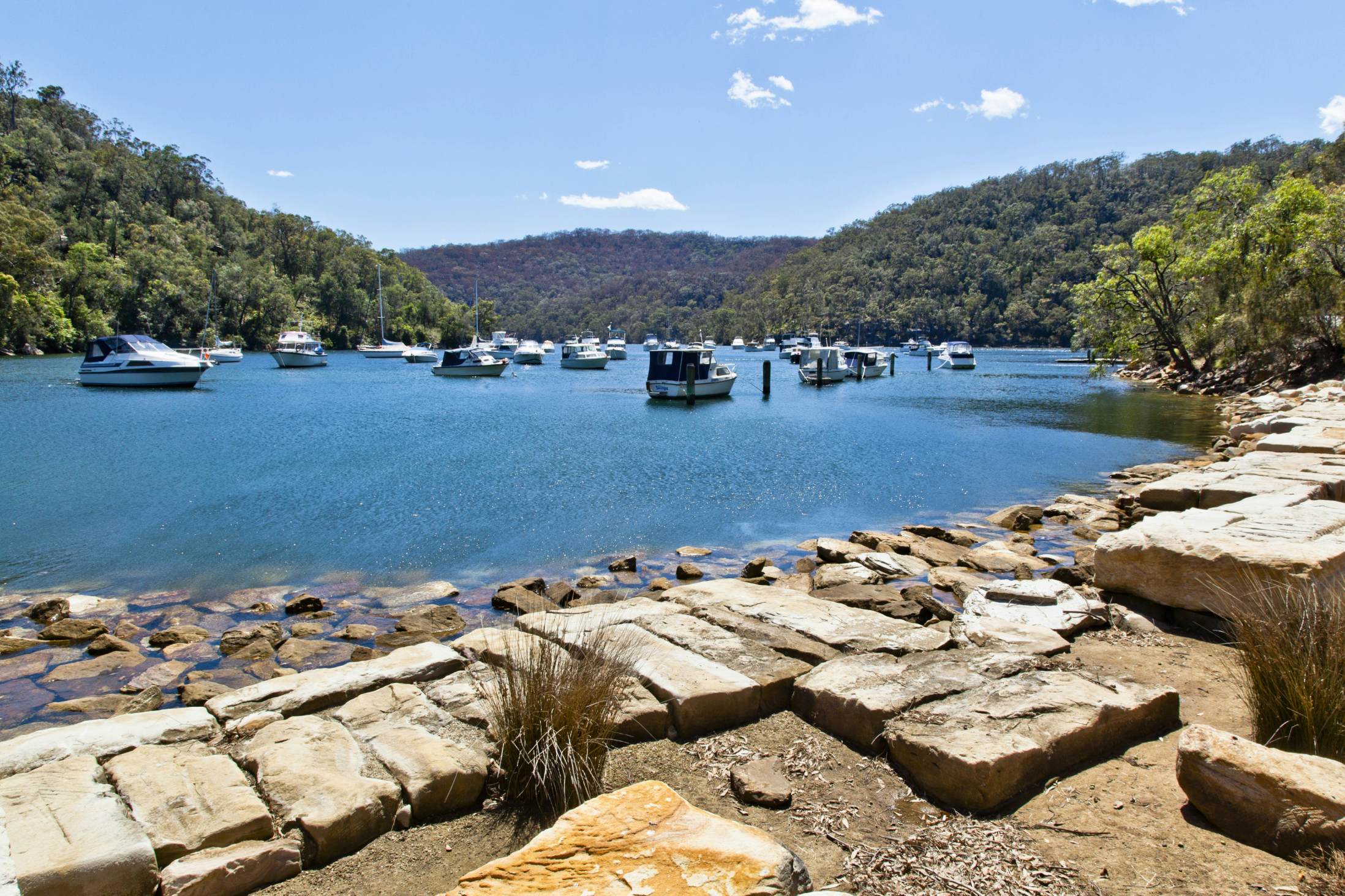 Beukende Dressoir Notebook Ku-ring-gai Chase National Park | Sydney, New South Wales | Attractions -  Lonely Planet