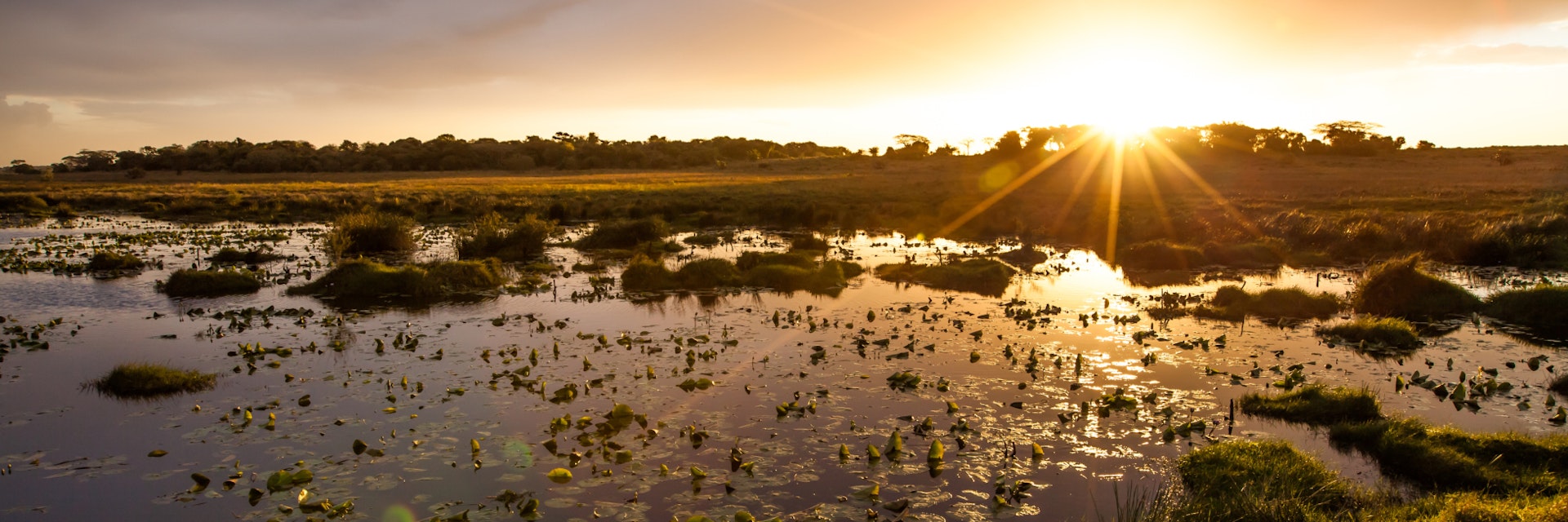 Sunset in the lake with water lilies, iSimangaliso Wetland Park; KwaZulu-Natal, South Africa.