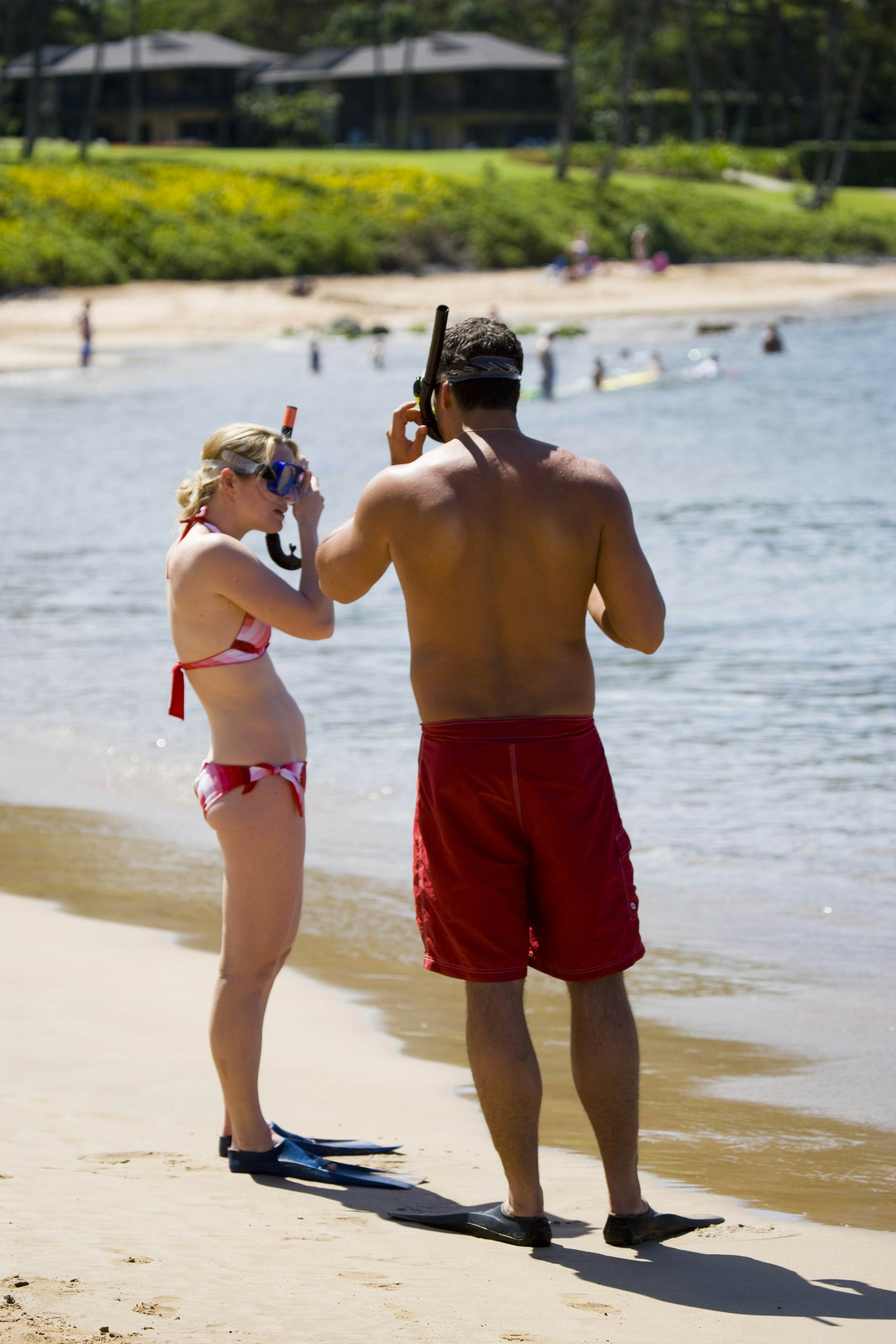 Putting on the snorkel, Ulua Beach, South West Maui.