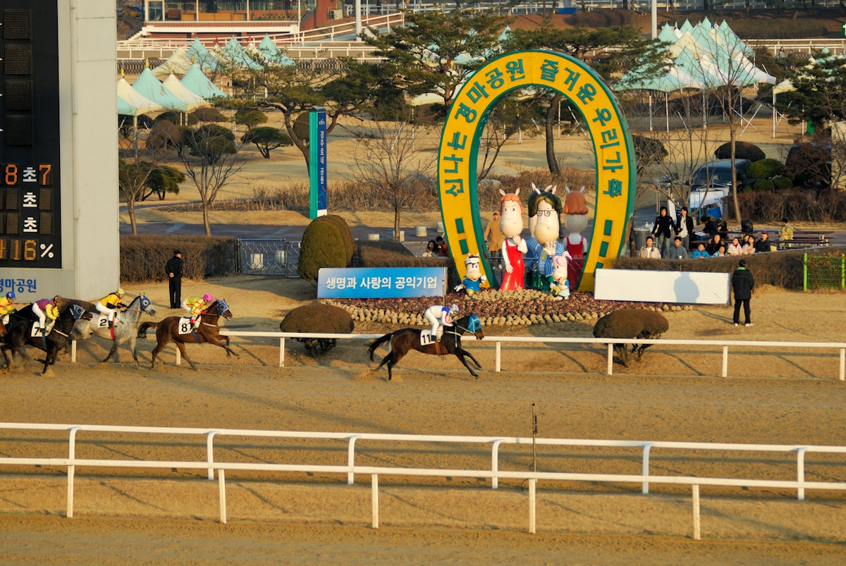 Finish line at Seoul Racecourse.