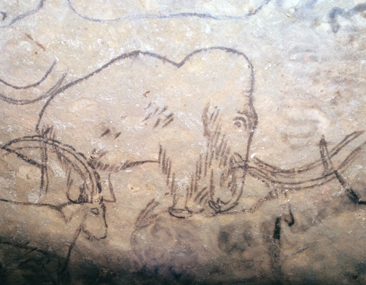 Neolithic cave-painting of mammoth and ibexes, from the ceiling of the Rouffignac Cave in Dordogne, France. (Photo by CM Dixon/Print Collector/Getty Images)