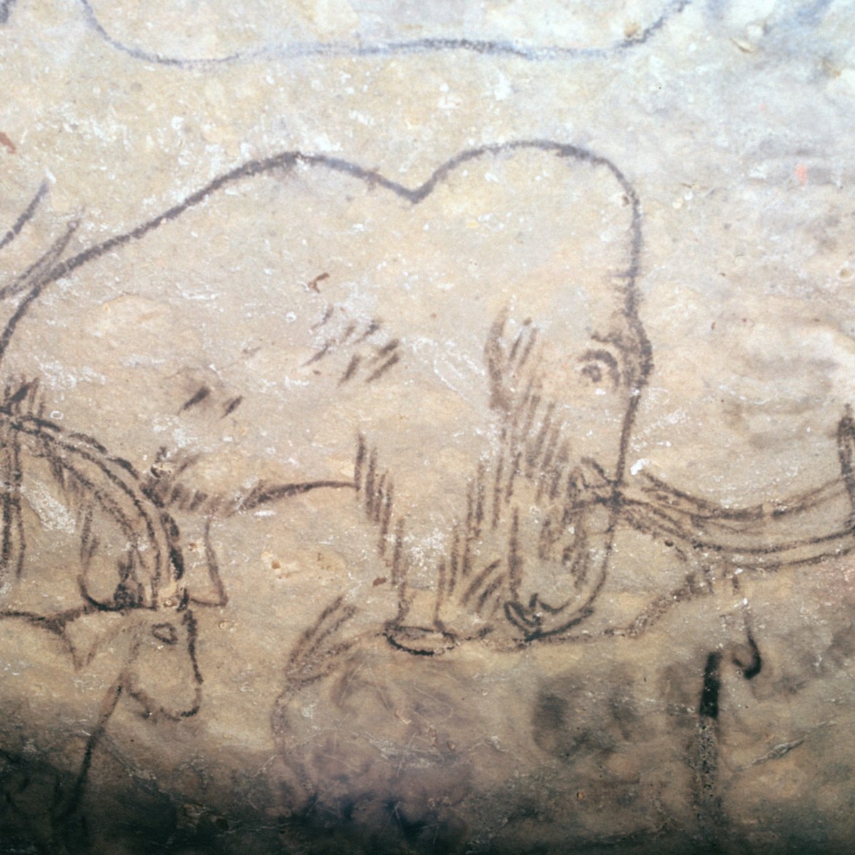 Neolithic cave-painting of mammoth and ibexes, from the ceiling of the Rouffignac Cave in Dordogne, France. (Photo by CM Dixon/Print Collector/Getty Images)