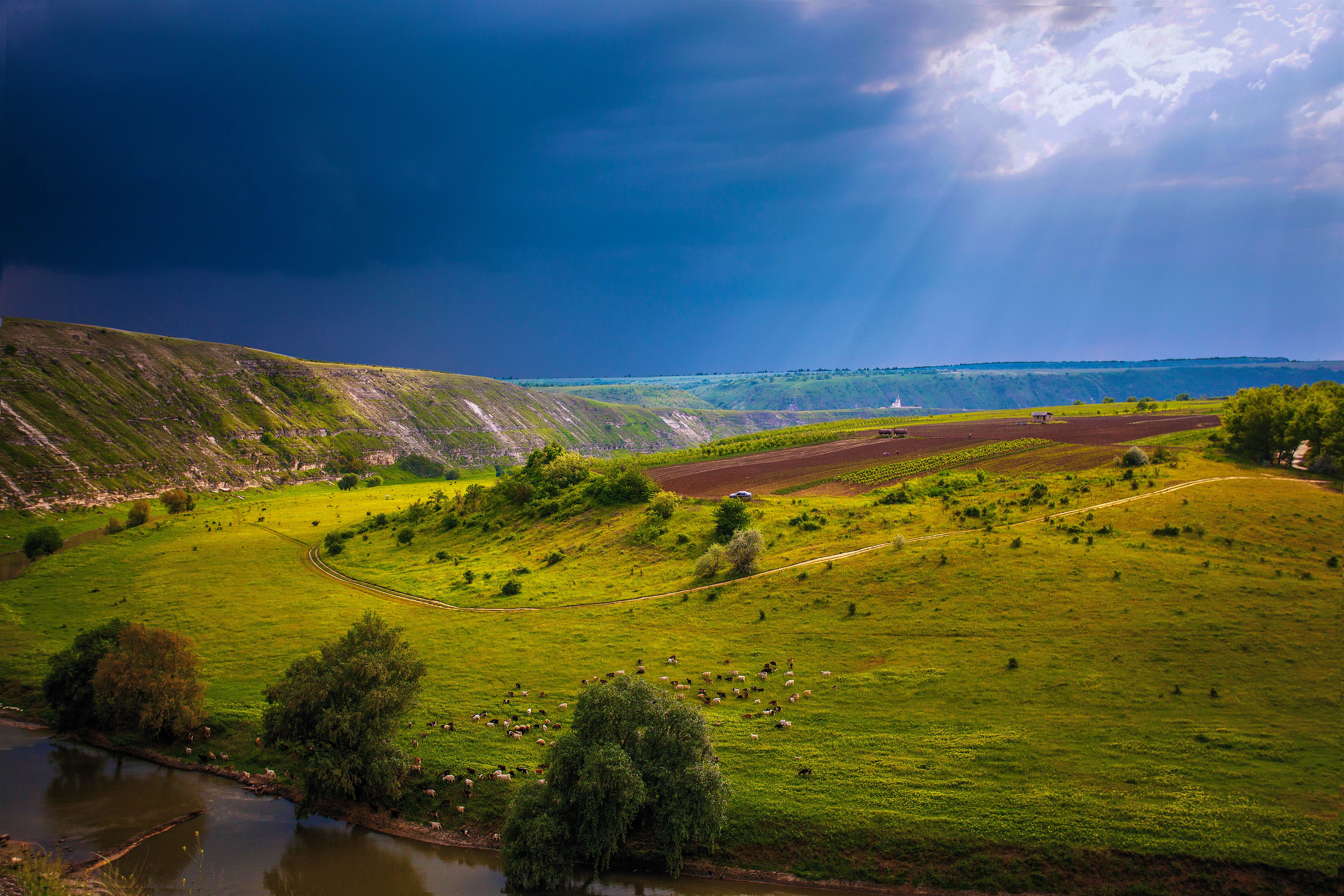 Moldova travel | Europe - Lonely Planet Moldova travel | Europe - Lonely Planet