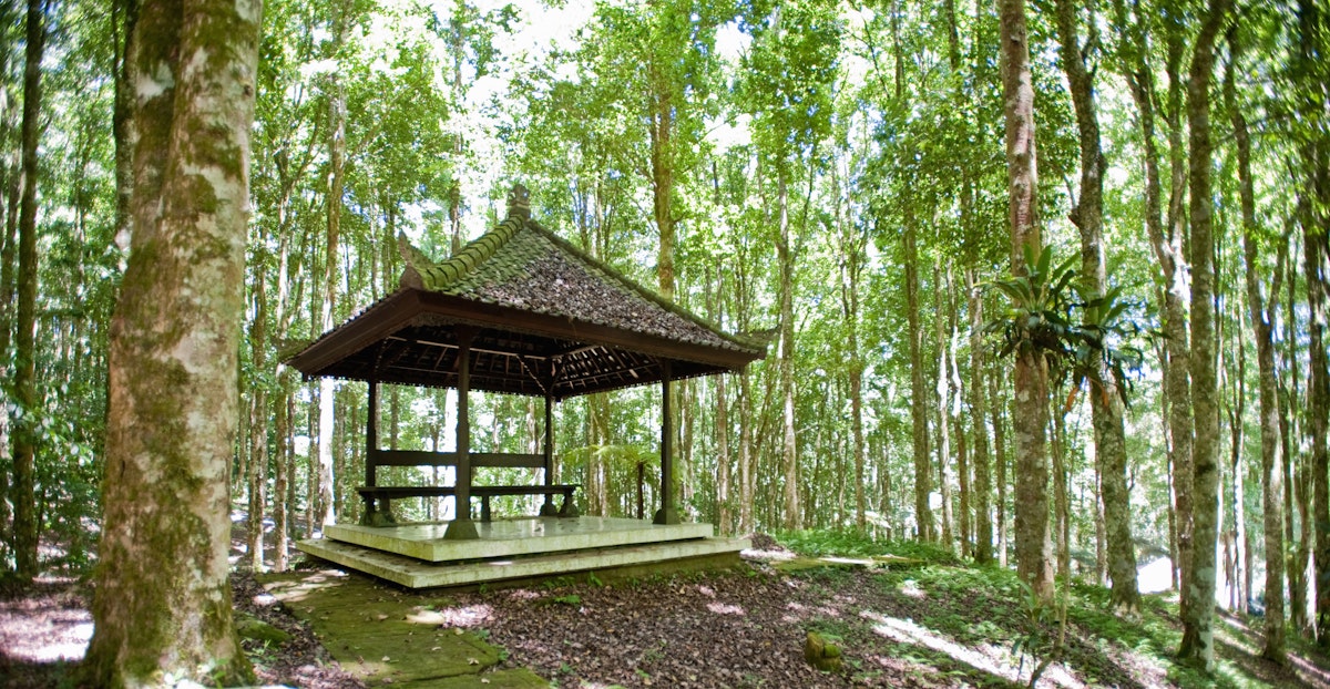 Empty pagoda in Casuarina forest, Kebun Raya Eya Karya Botanical Gardens, Candikuning, Bali, Indonesia