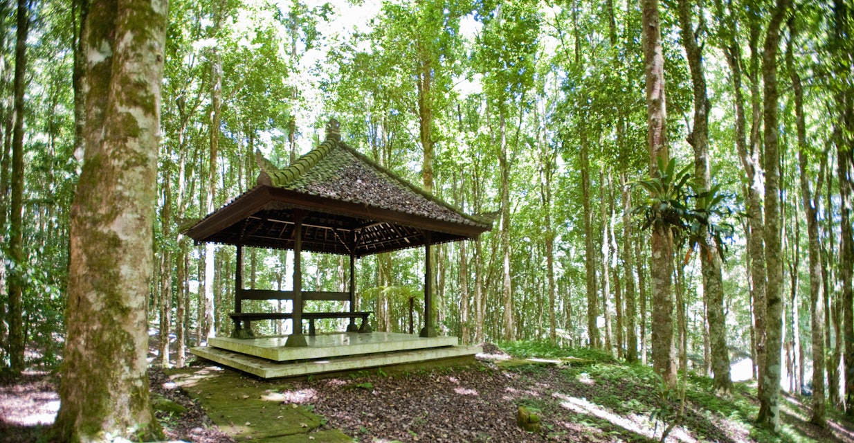 Empty pagoda in Casuarina forest, Kebun Raya Eya Karya Botanical Gardens, Candikuning, Bali, Indonesia