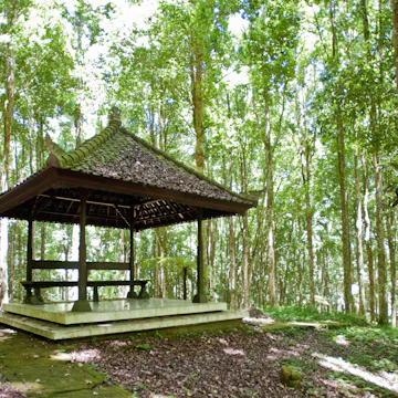 Empty pagoda in Casuarina forest, Kebun Raya Eya Karya Botanical Gardens, Candikuning, Bali, Indonesia