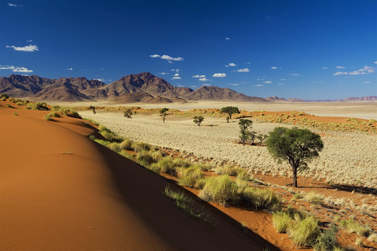 Namibrand Nature Reserve travel | Namibia - Lonely Planet