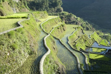 Banaue mud-walled rice terraces of Ifugao culture, UNESCO World Heritage Site, Cordillera, Luzon, Philippines, Southeast Asia, Asia