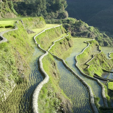 Banaue mud-walled rice terraces of Ifugao culture, UNESCO World Heritage Site, Cordillera, Luzon, Philippines, Southeast Asia, Asia
