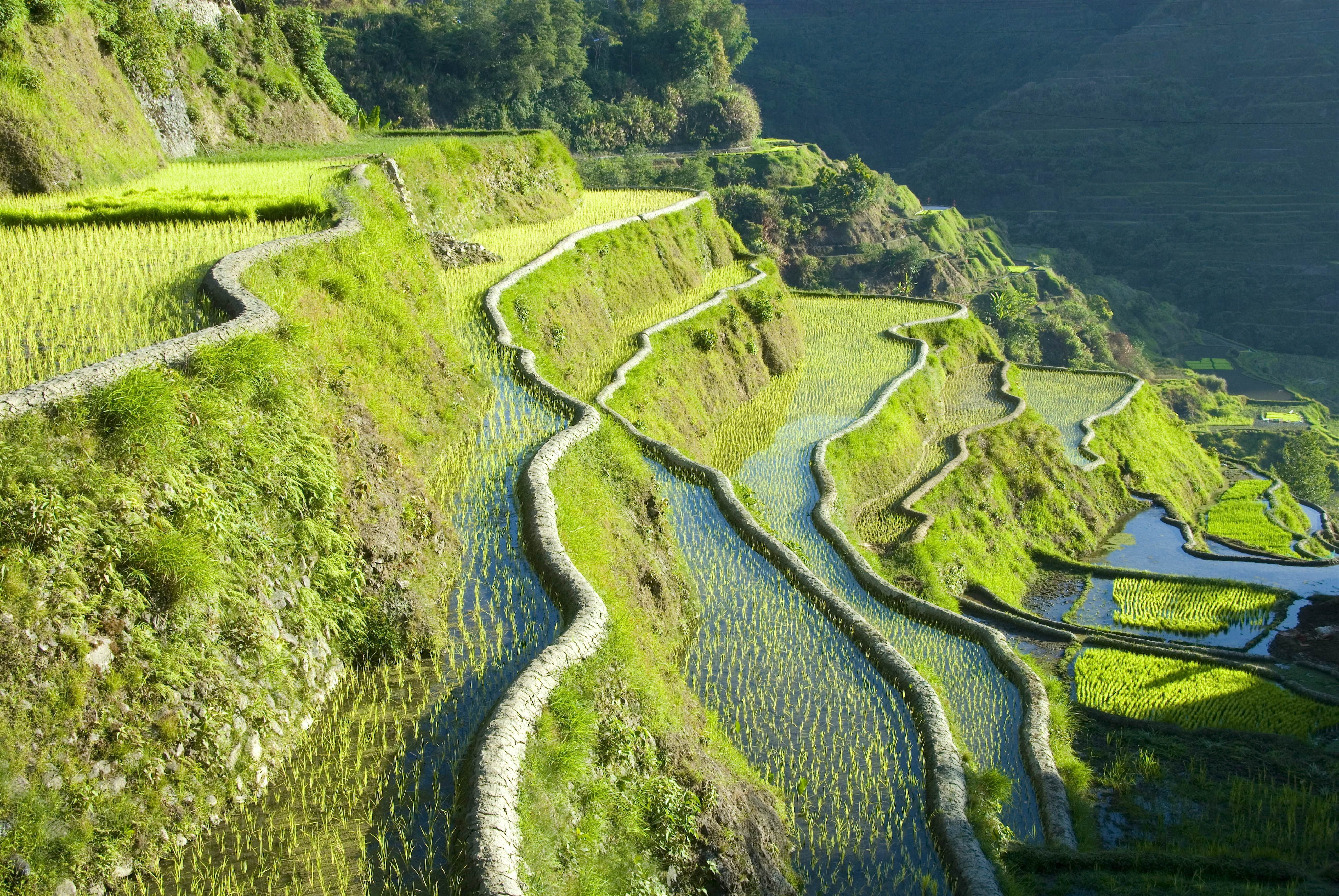 The Cordillera Travel North Luzon Philippines Lonely Planet