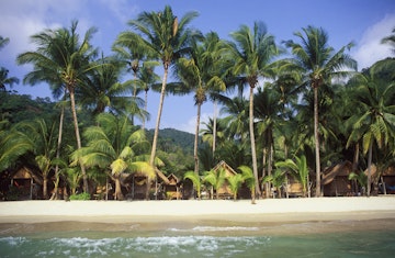 Palm trees at White Sand Beach, Ko Chang Island