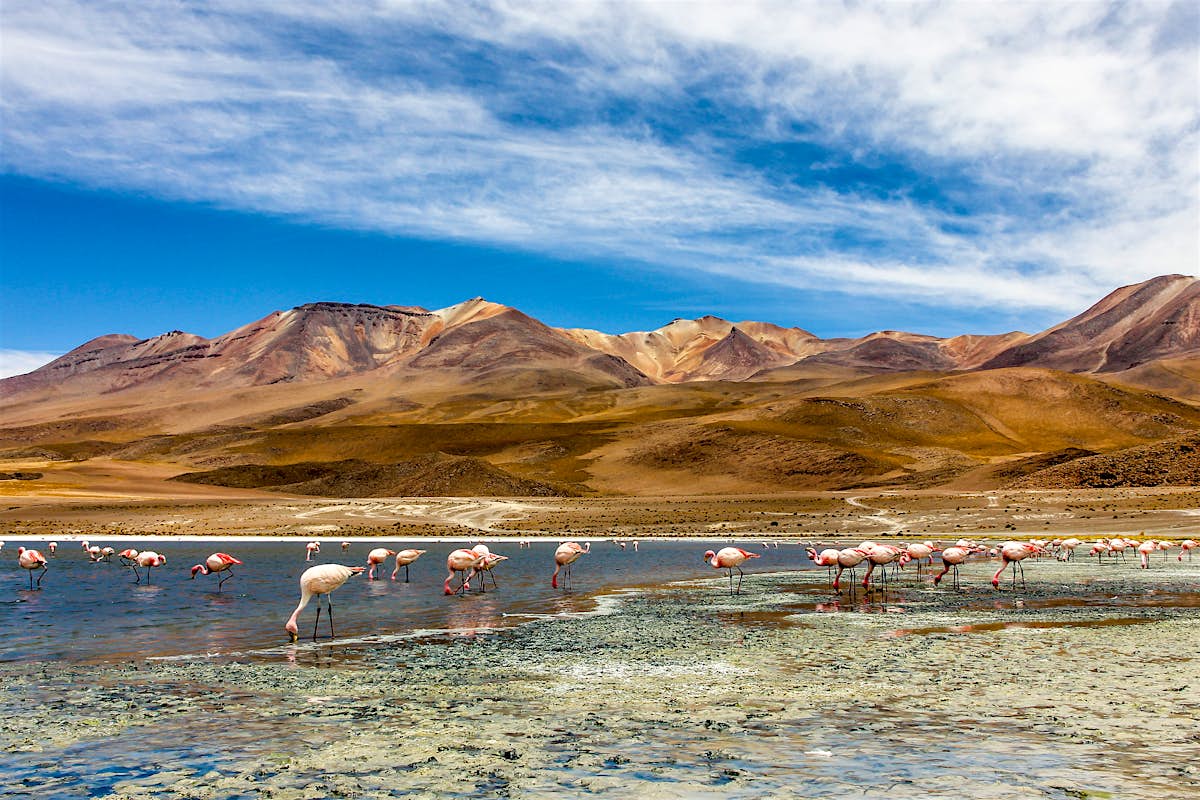 Tours in Bolivia - Lonely Planet