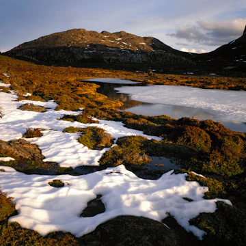 The Temple, Walls of Jerusalem National Park, Tasmania, Australia