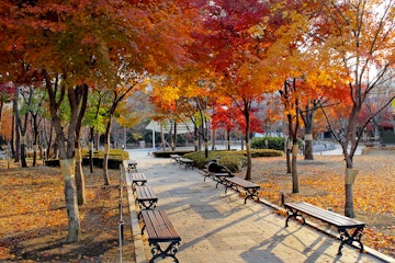 Park in Daegu, South Korea