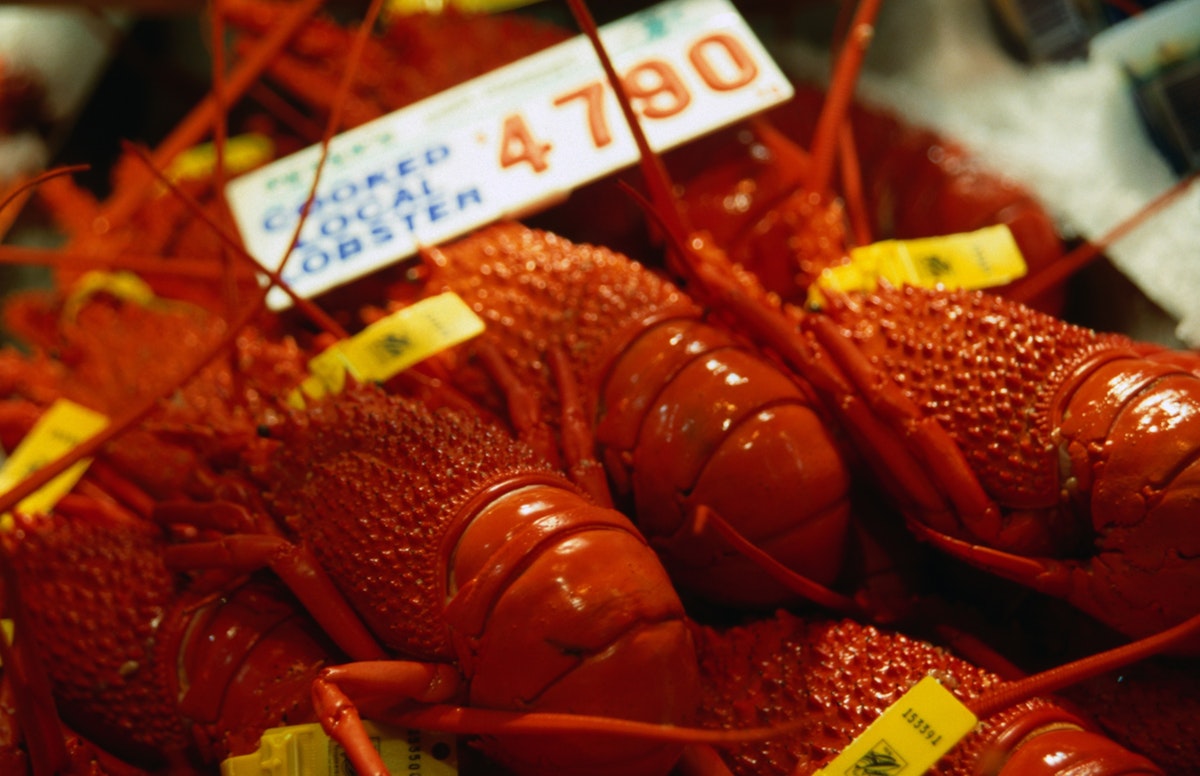 Fresh lobsters for sale at the Sydney Fish Market.