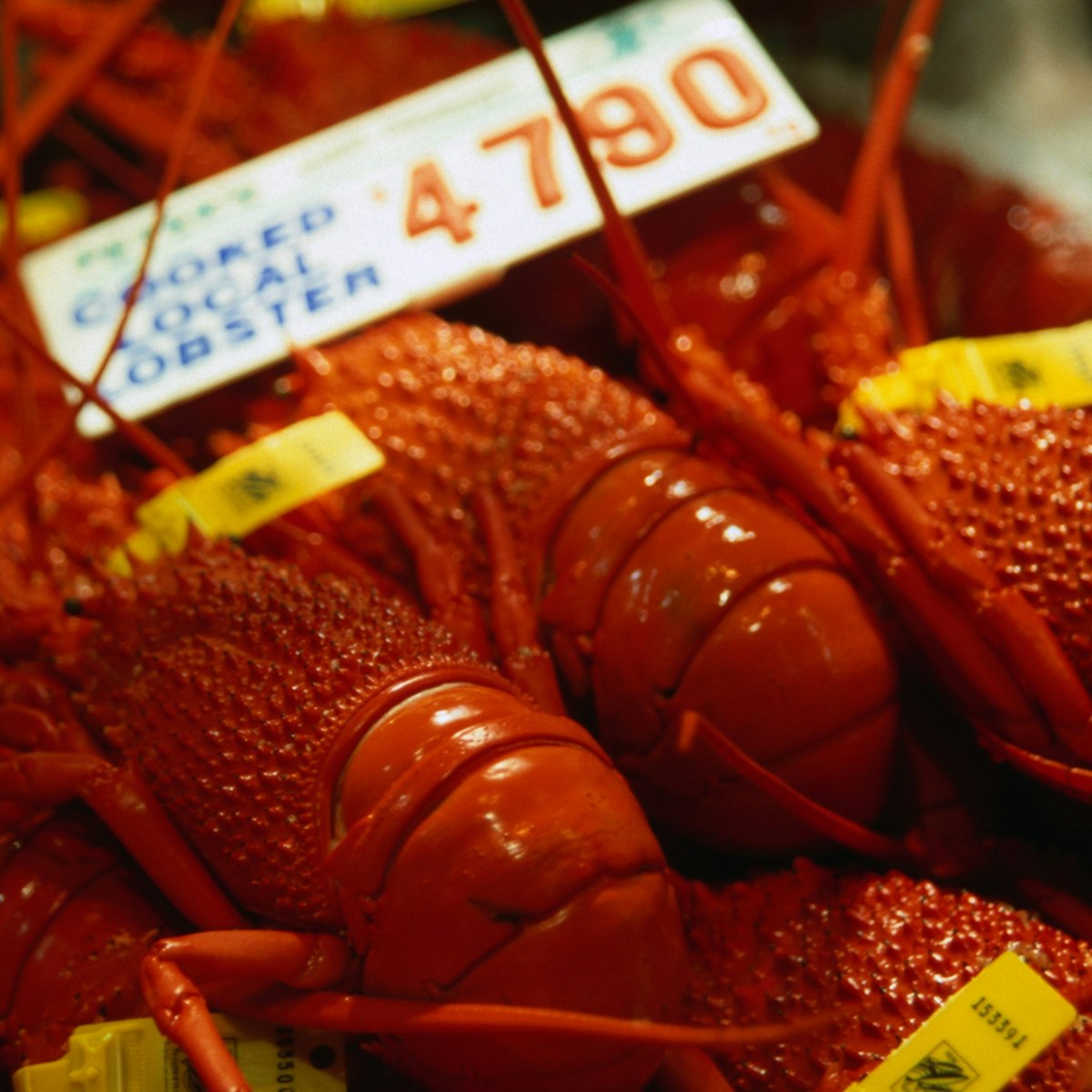 Fresh lobsters for sale at the Sydney Fish Market.