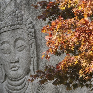 South Korea, Chungcheongbuk-do, Beopjusa Temple, Buddha carved in stone and autumn leaves on tree