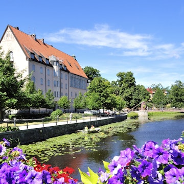 Flowering Uppsala. Sweden