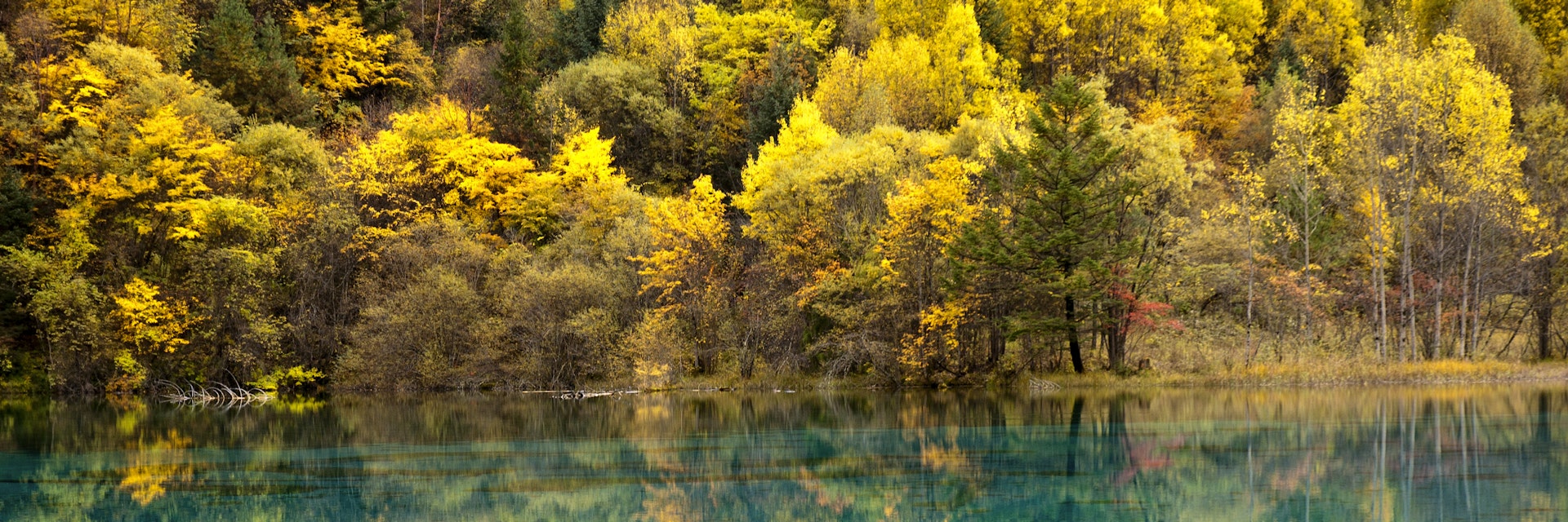 Autumn reflection in lake wuhuahai in jiuzhaigou