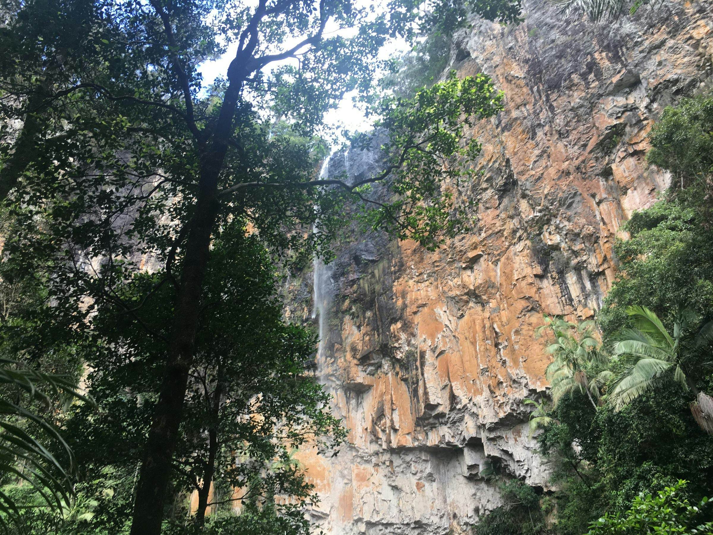 Purling Brook Falls Australia Attractions Lonely Planet