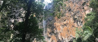 Purling Brook Falls Australia Attractions Lonely Planet