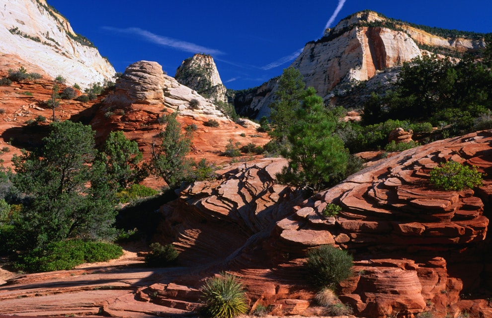 Rock formations in Zion National Park.