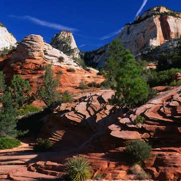 Rock formations in Zion National Park.